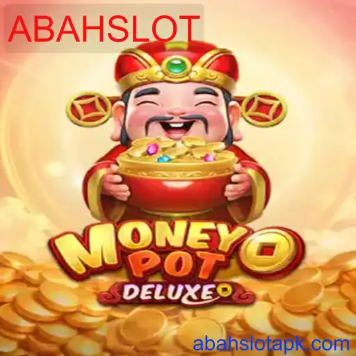 MoneyPotDELUXE